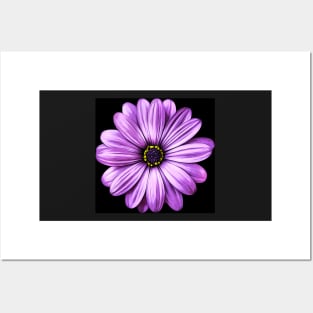 Purple Flower | Floral Art Posters and Art